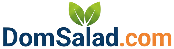 DomSalad Premium Domains