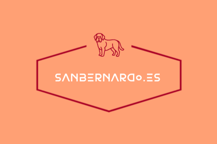 sanbernardo.es